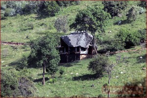 Mountain side cottage at Saruni Mountain side cottage at Saruni