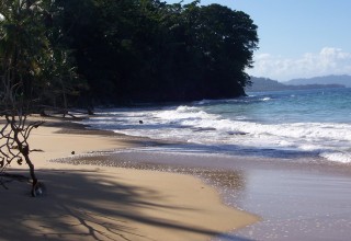 Punta Uva1
