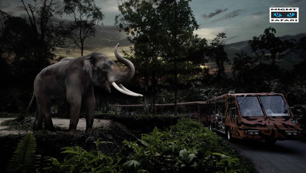 Magnificent bull elephant, Chawang, salutes visitors as they enjoy a tram ride in Singapore's Night Safari. Chawang, the park's largest resident, is one of five Asian elephants that calls this attraction home.