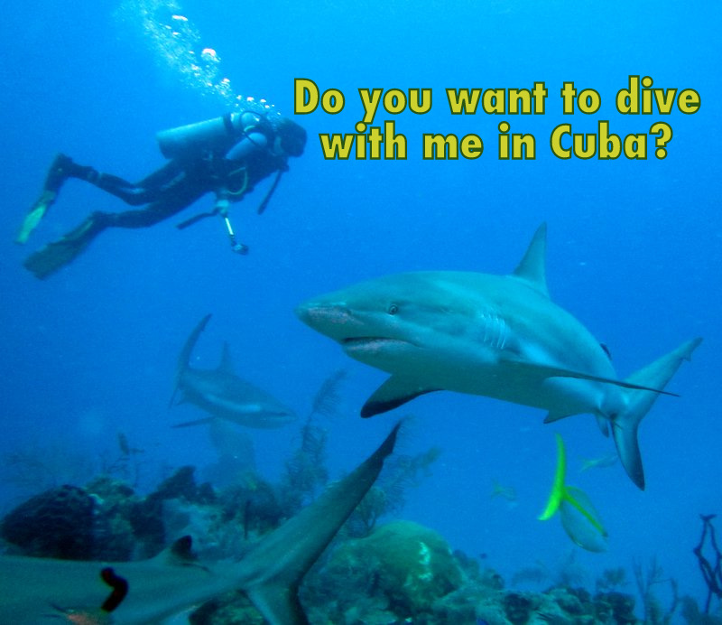 Do you want to dive with me in Cuba?