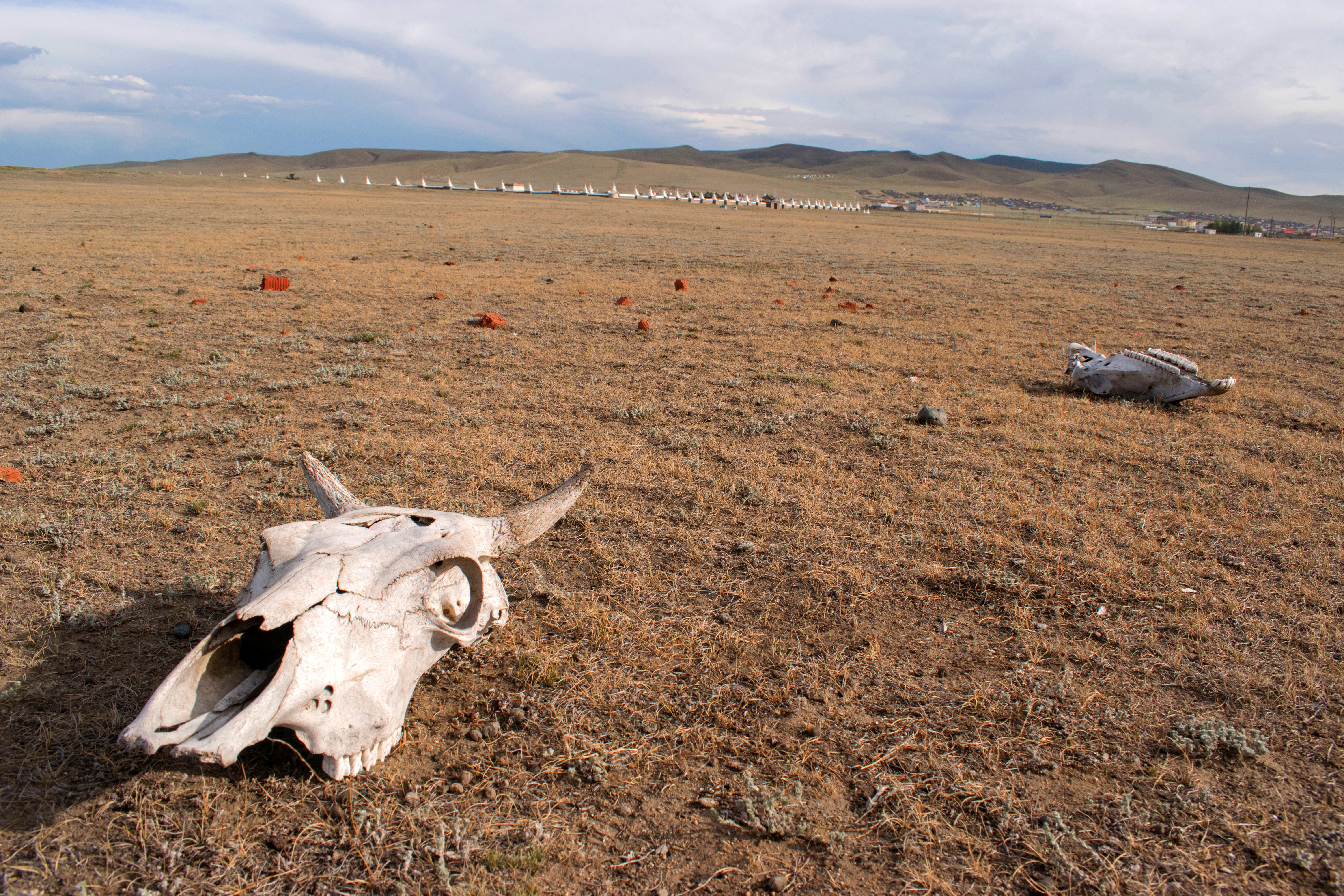 Forgotten Land in Mongolia