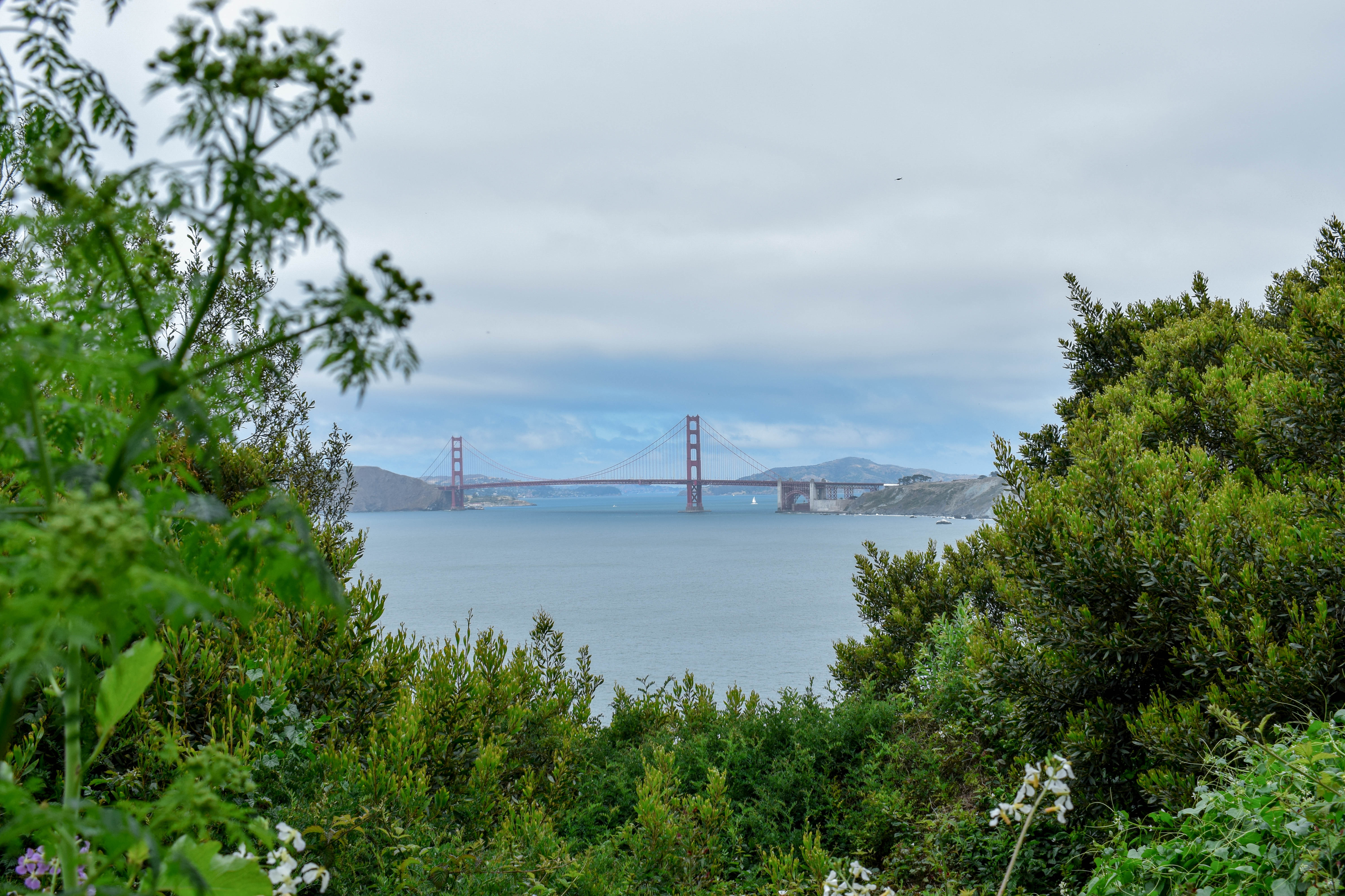 A View From Natural, San Francisco