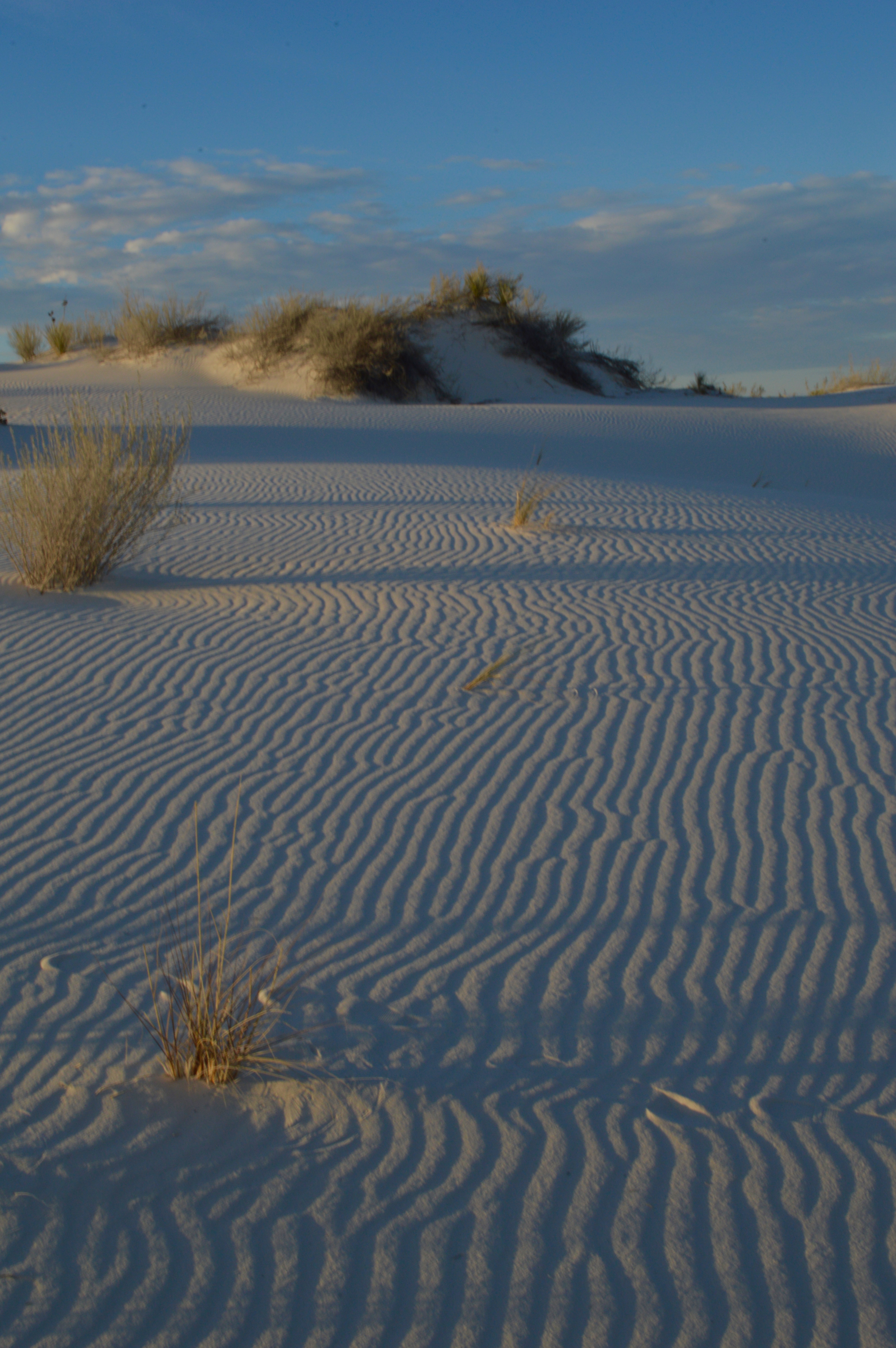 Desert Dunes in New Mexico