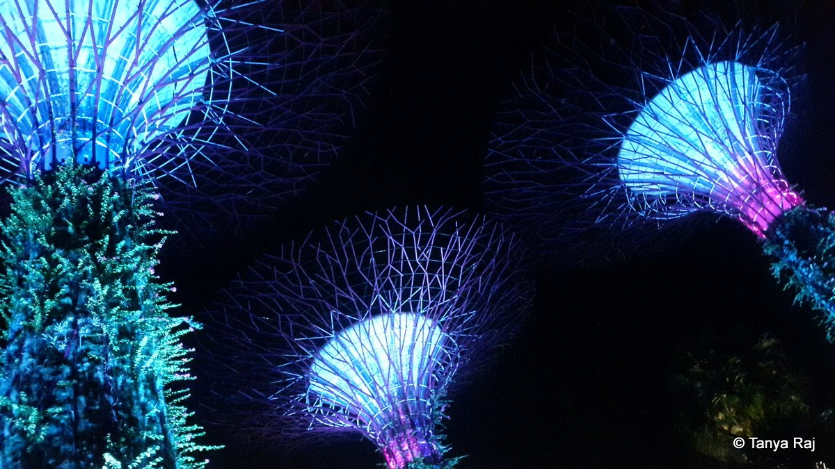 The Blue Beyond in Singapore