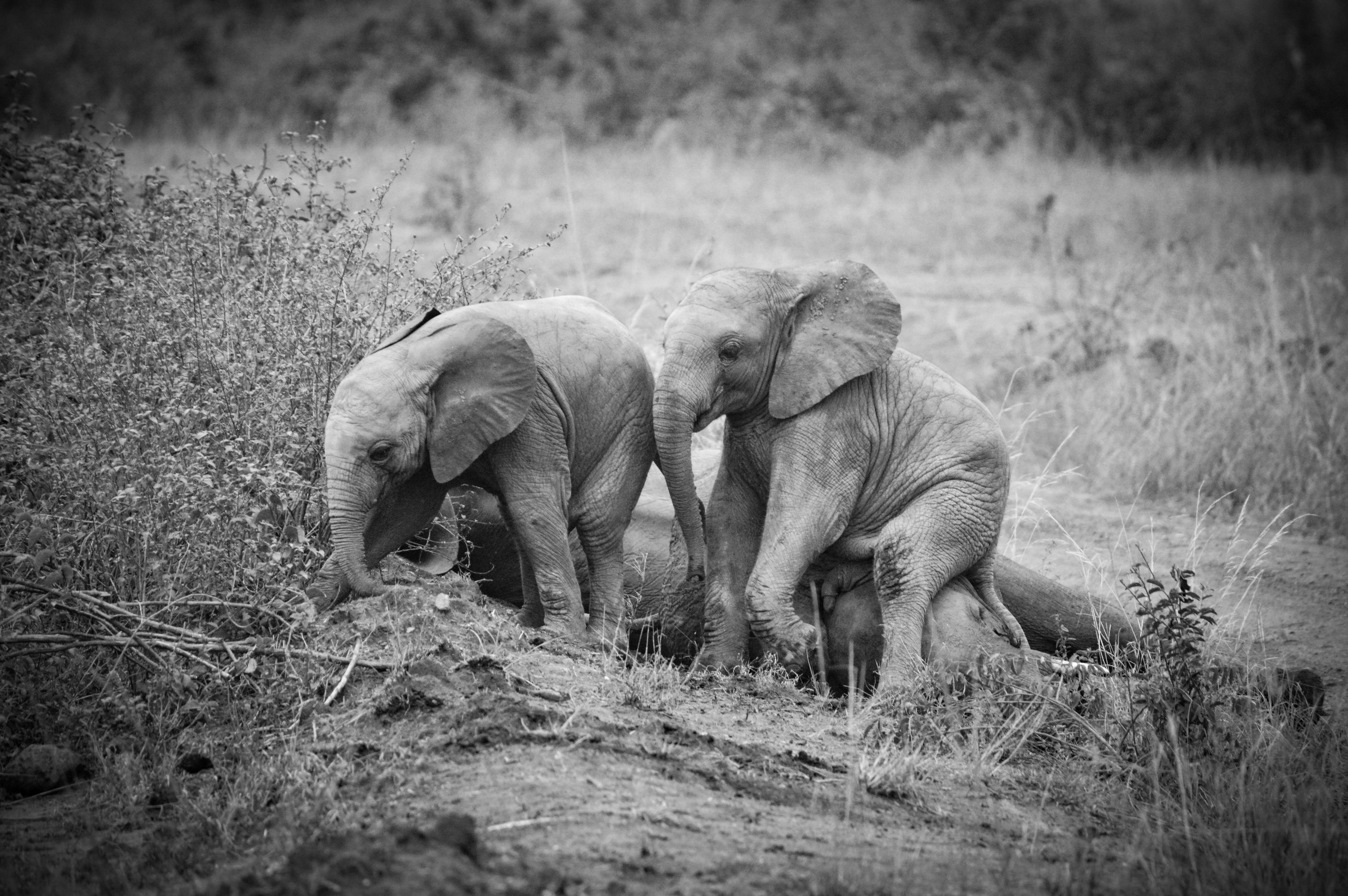 Some Days Are Simply Meant For Playing in Uganda