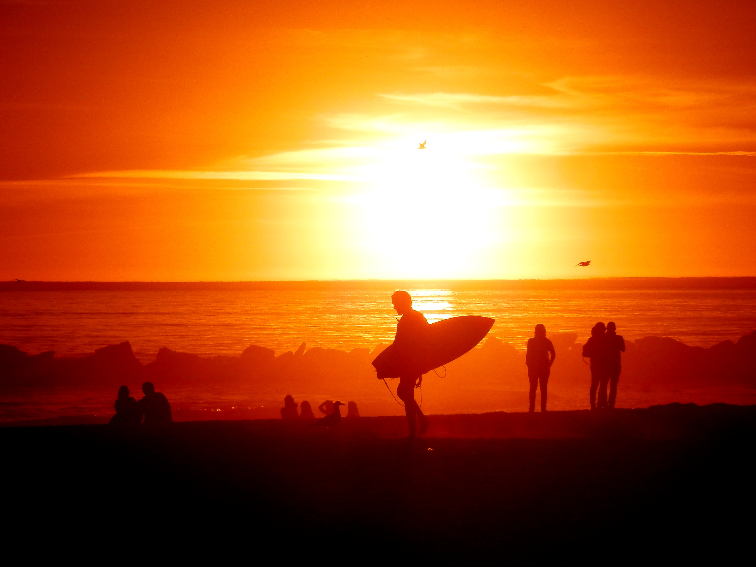 Beach Day in Venice, California