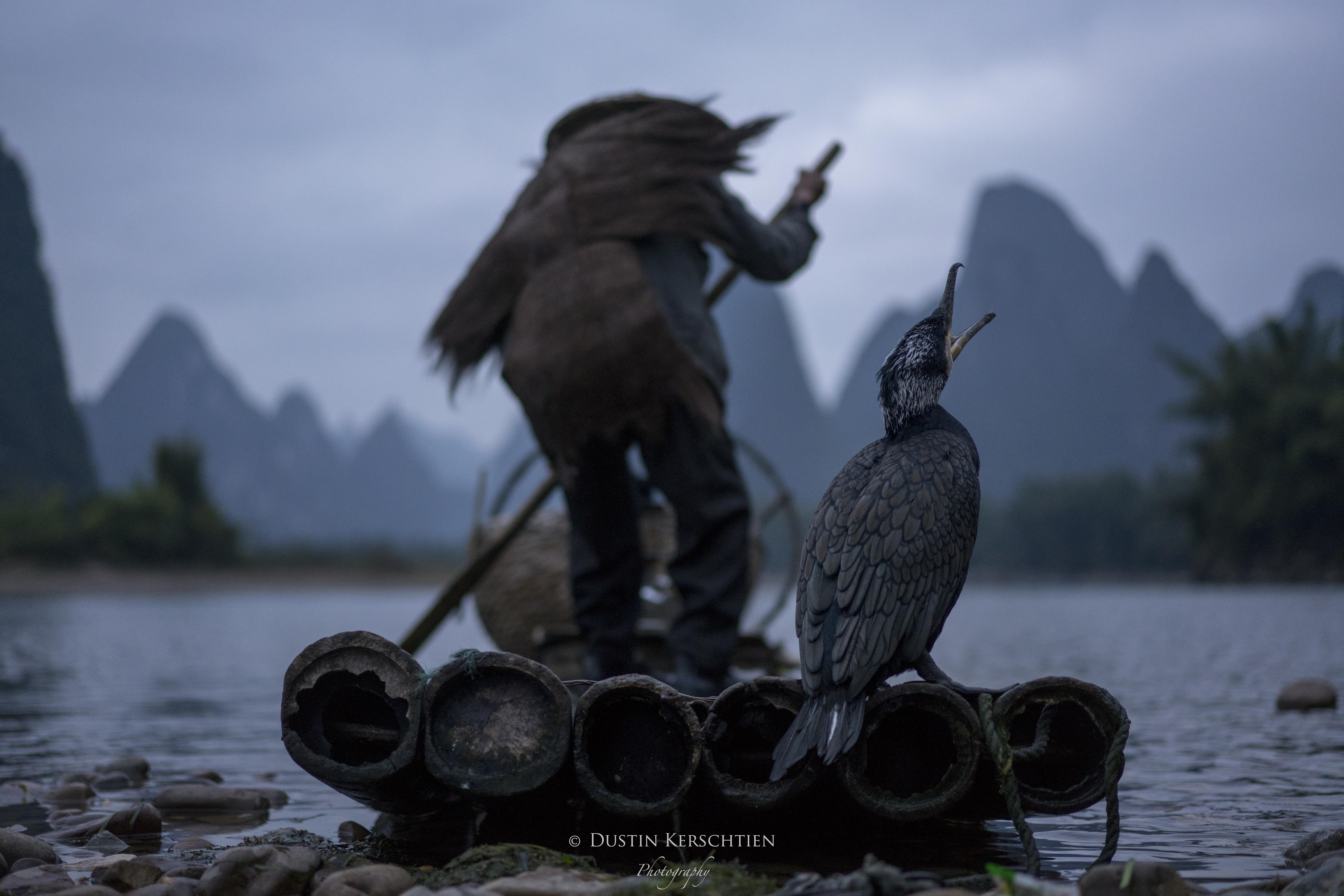 A Calling Home in China
