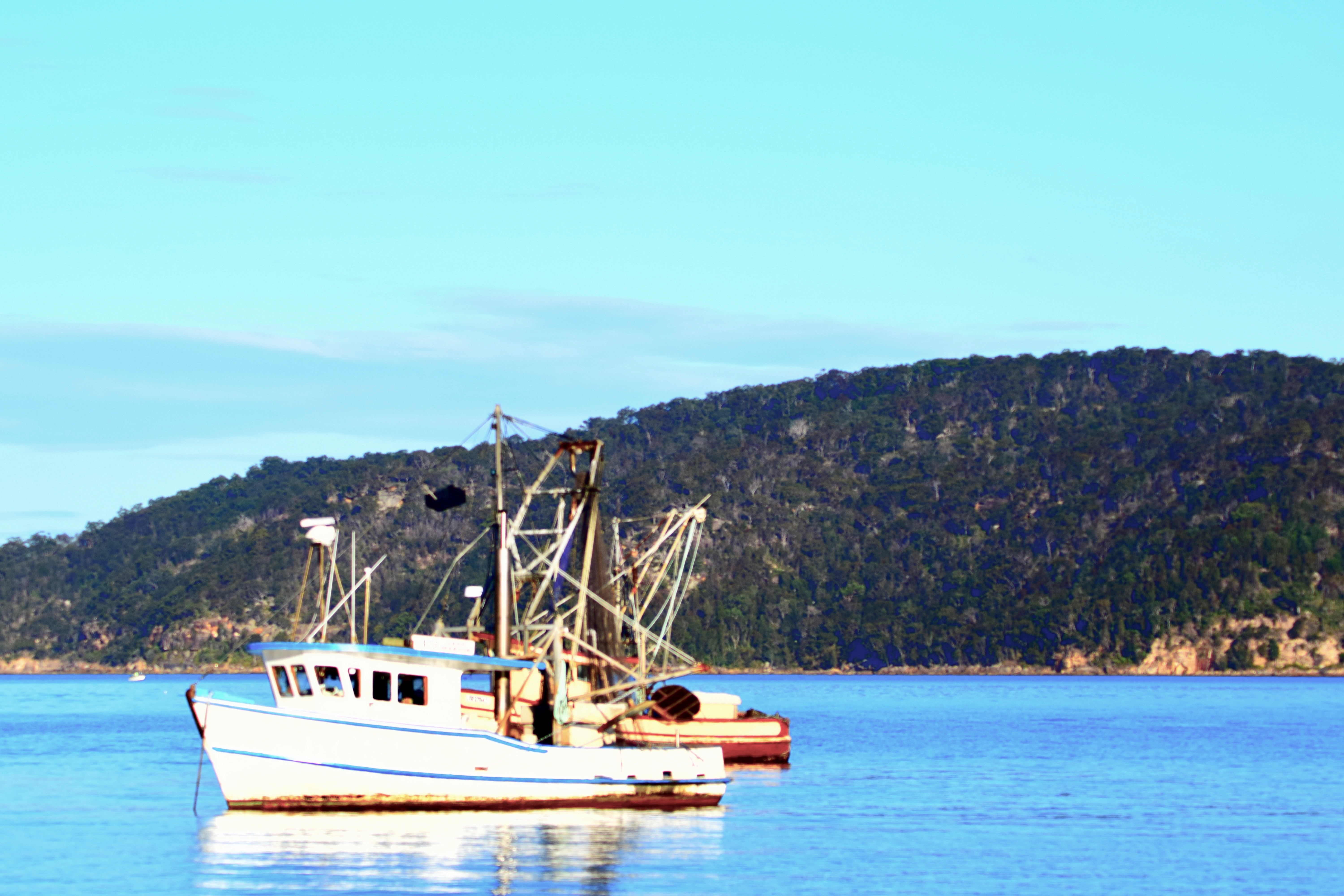 Tranquil Harbour in Australia