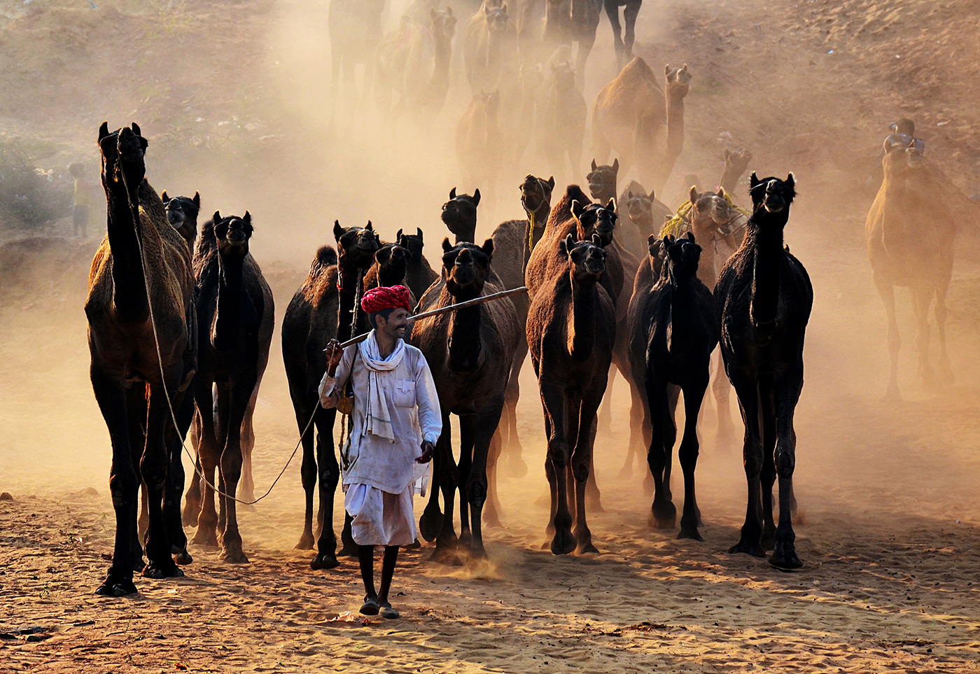 LONG WAY TO GO in INDIA
