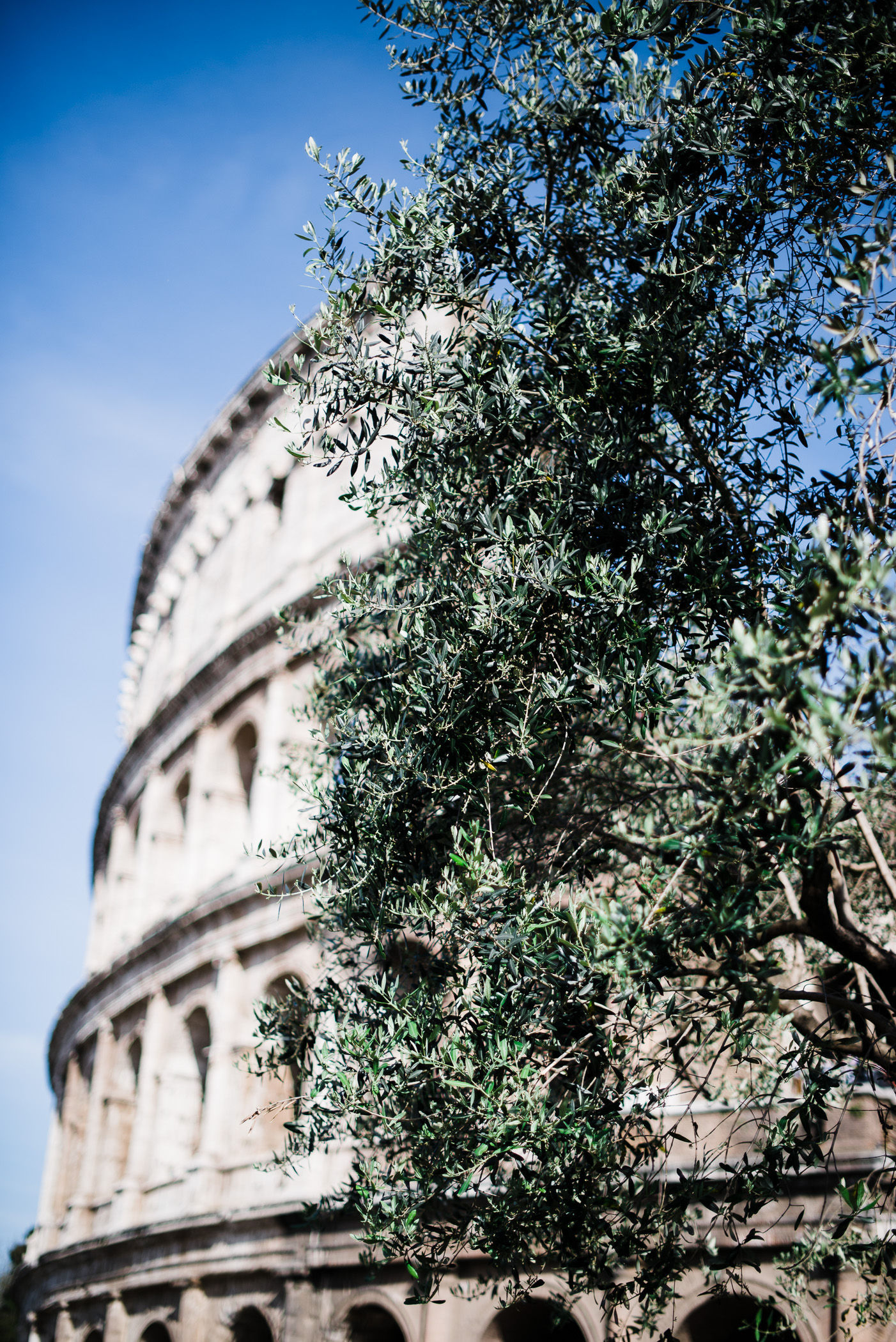 Roma in Italy