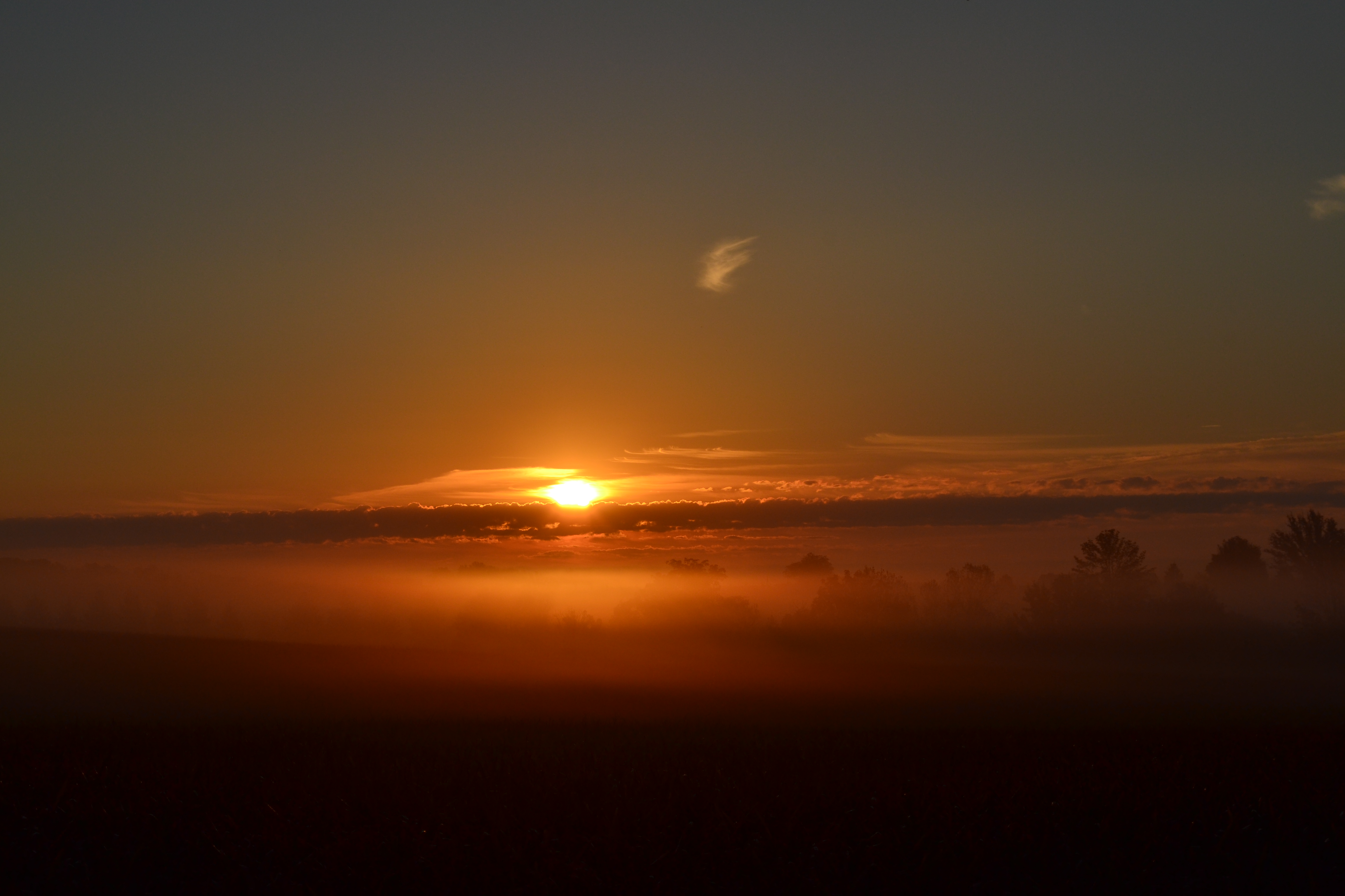 Misty Sunrise in Canada