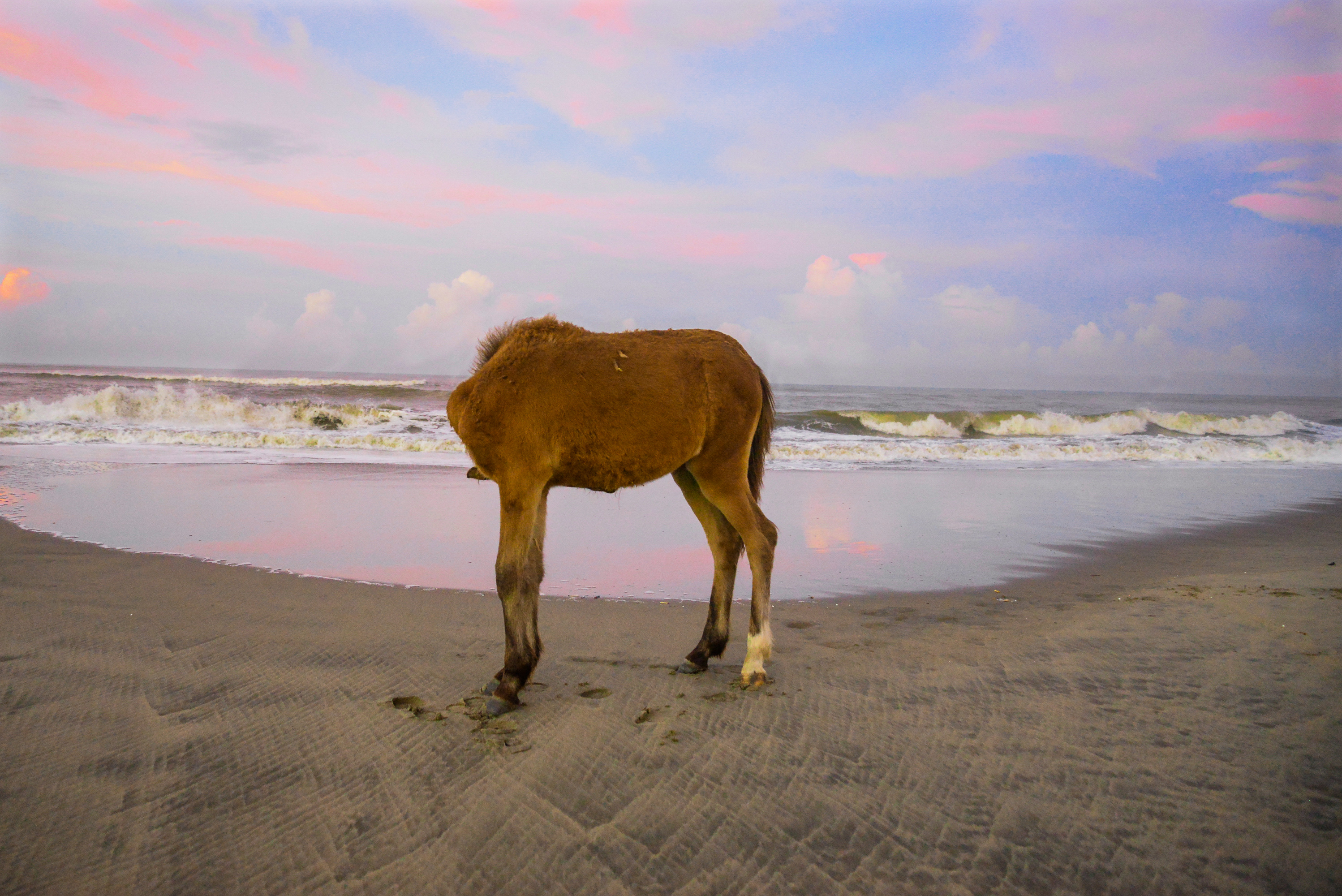 Welcome to Coxsbazar Beach, Bangladesh