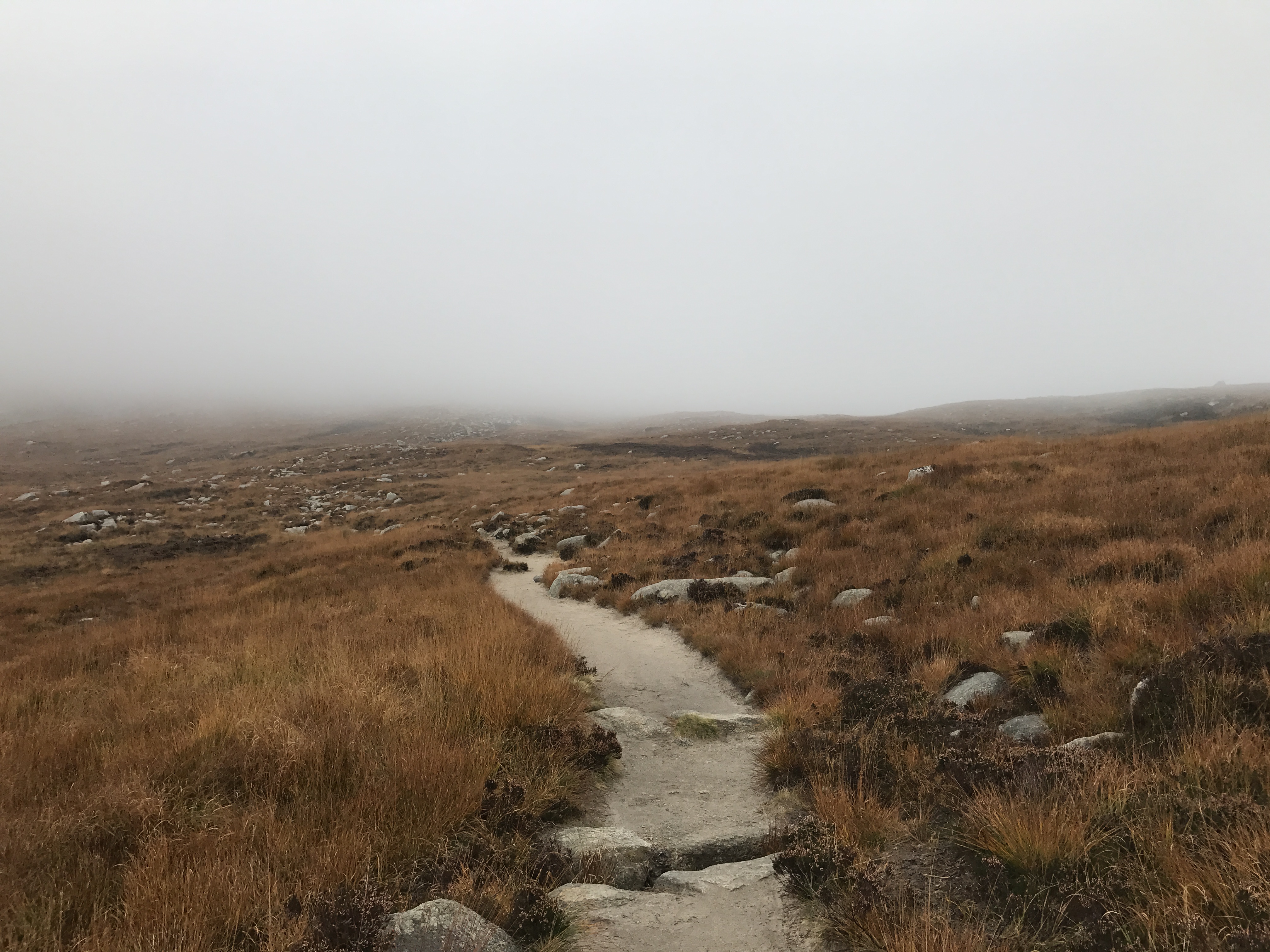 Fog over Goatfell, Scotland