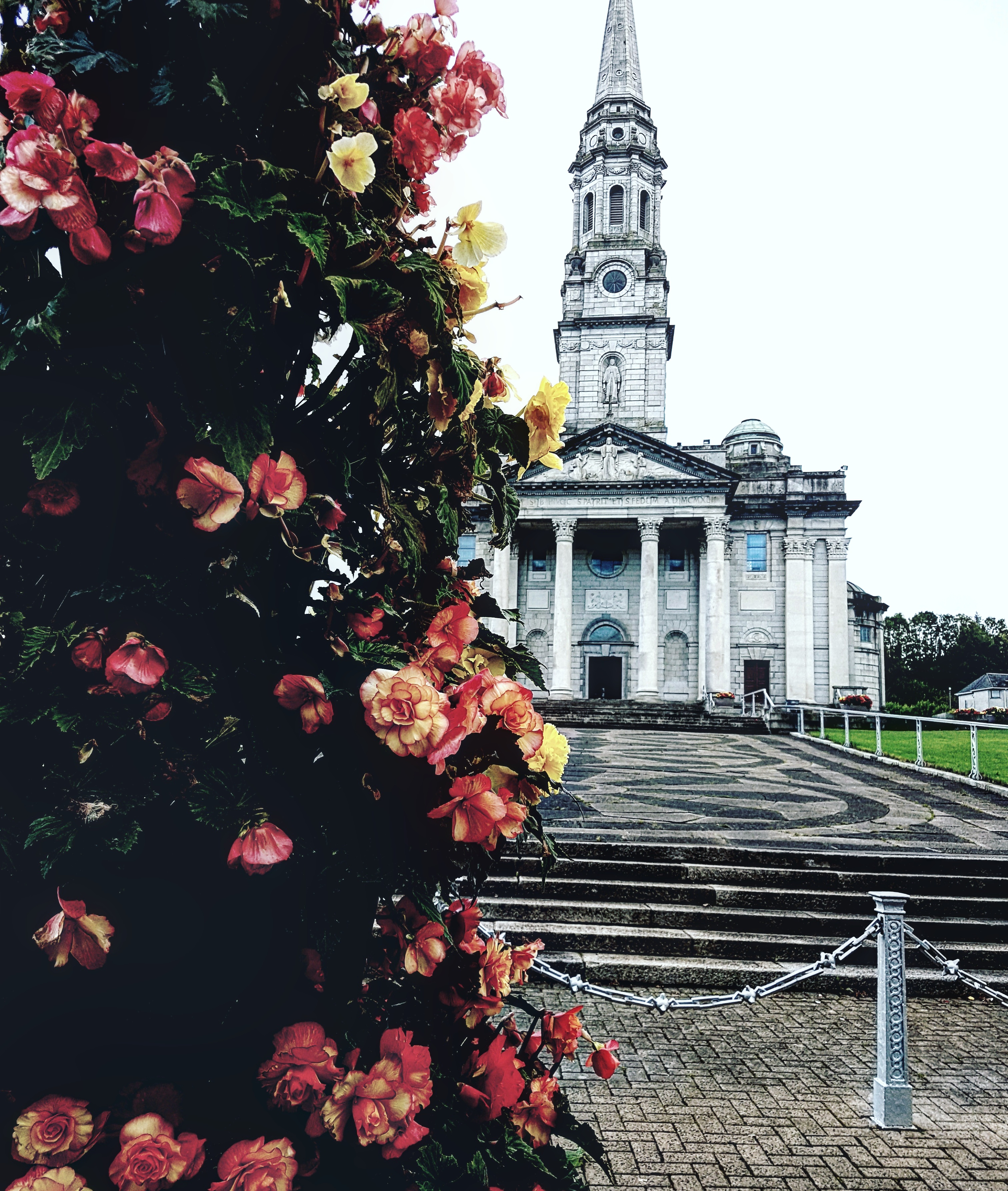 Devine One in Ireland