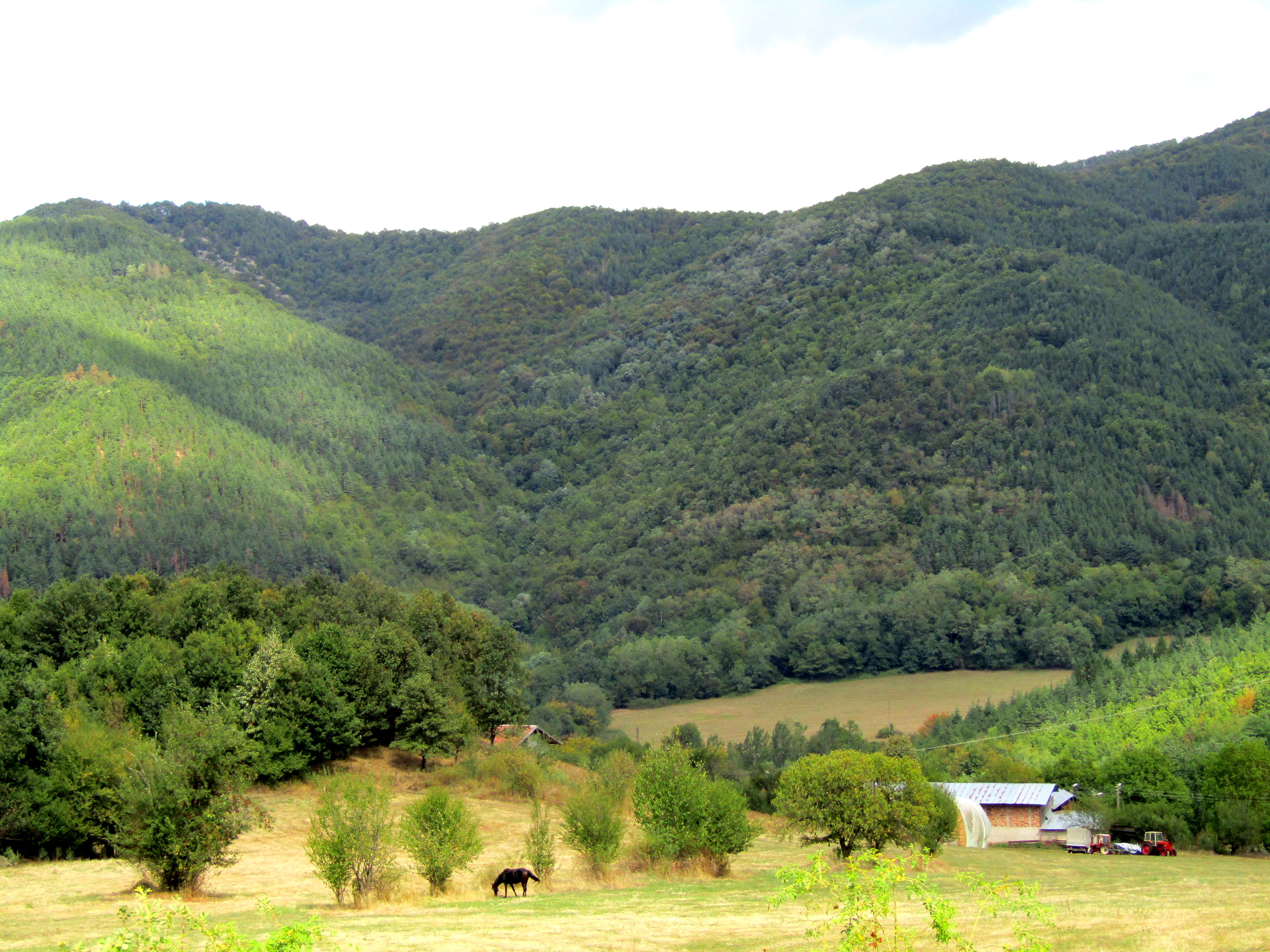 Traveling through the Bulgarian mountains