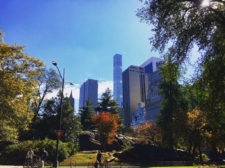 Fall in Central Park