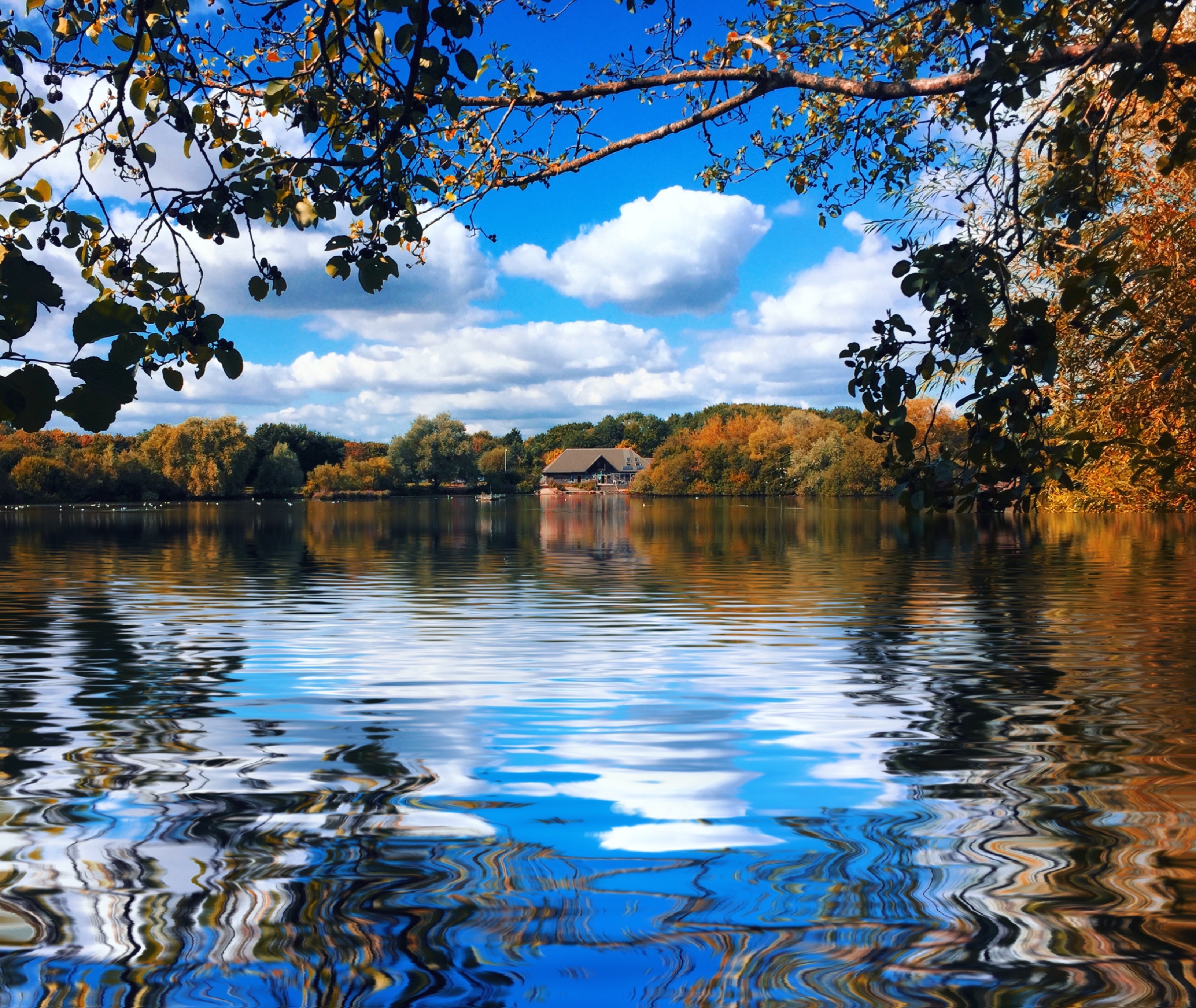 Autumn Reflections in the UK