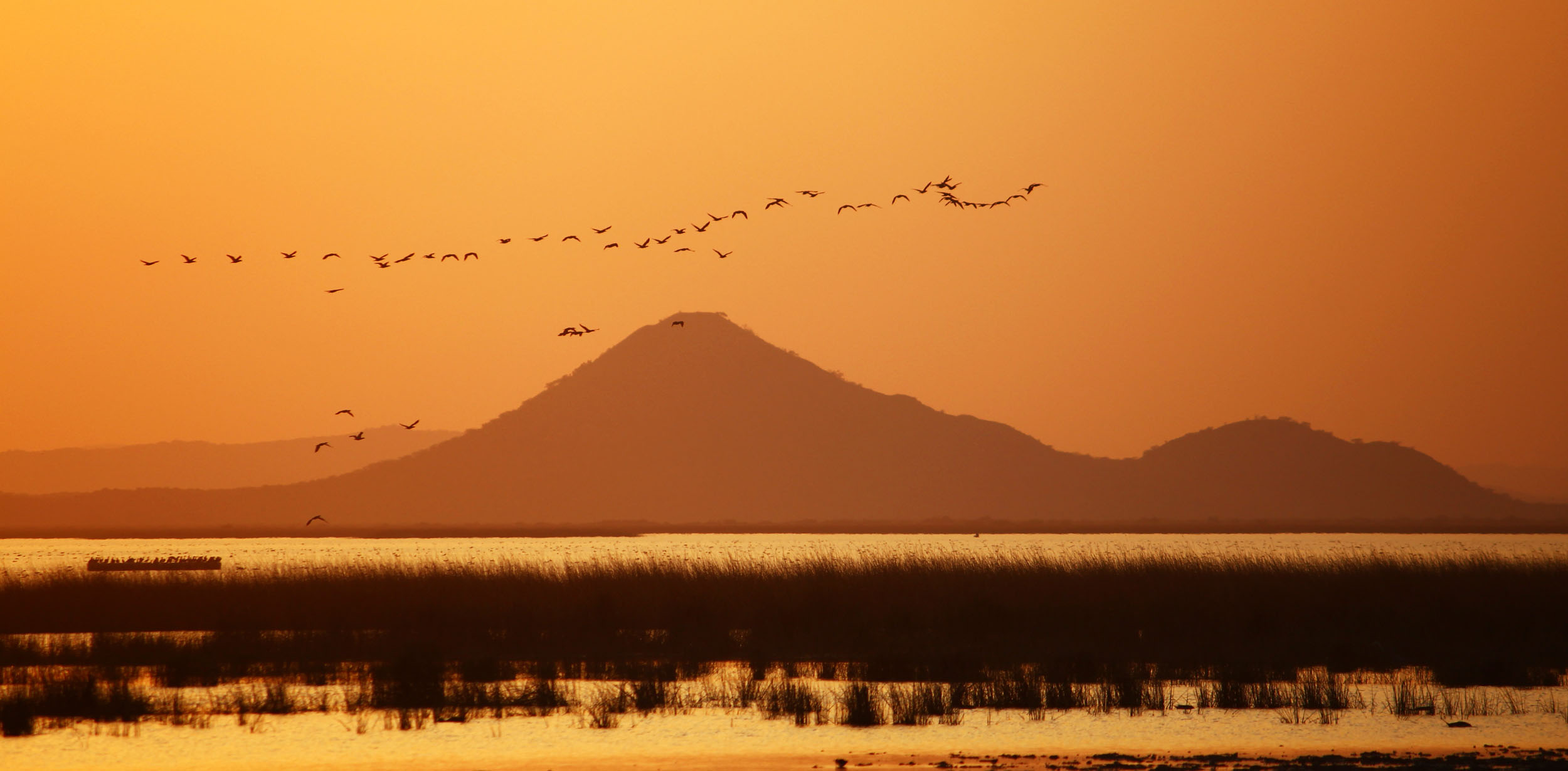 AN EVENING IN TRANQUILITY in INDIA