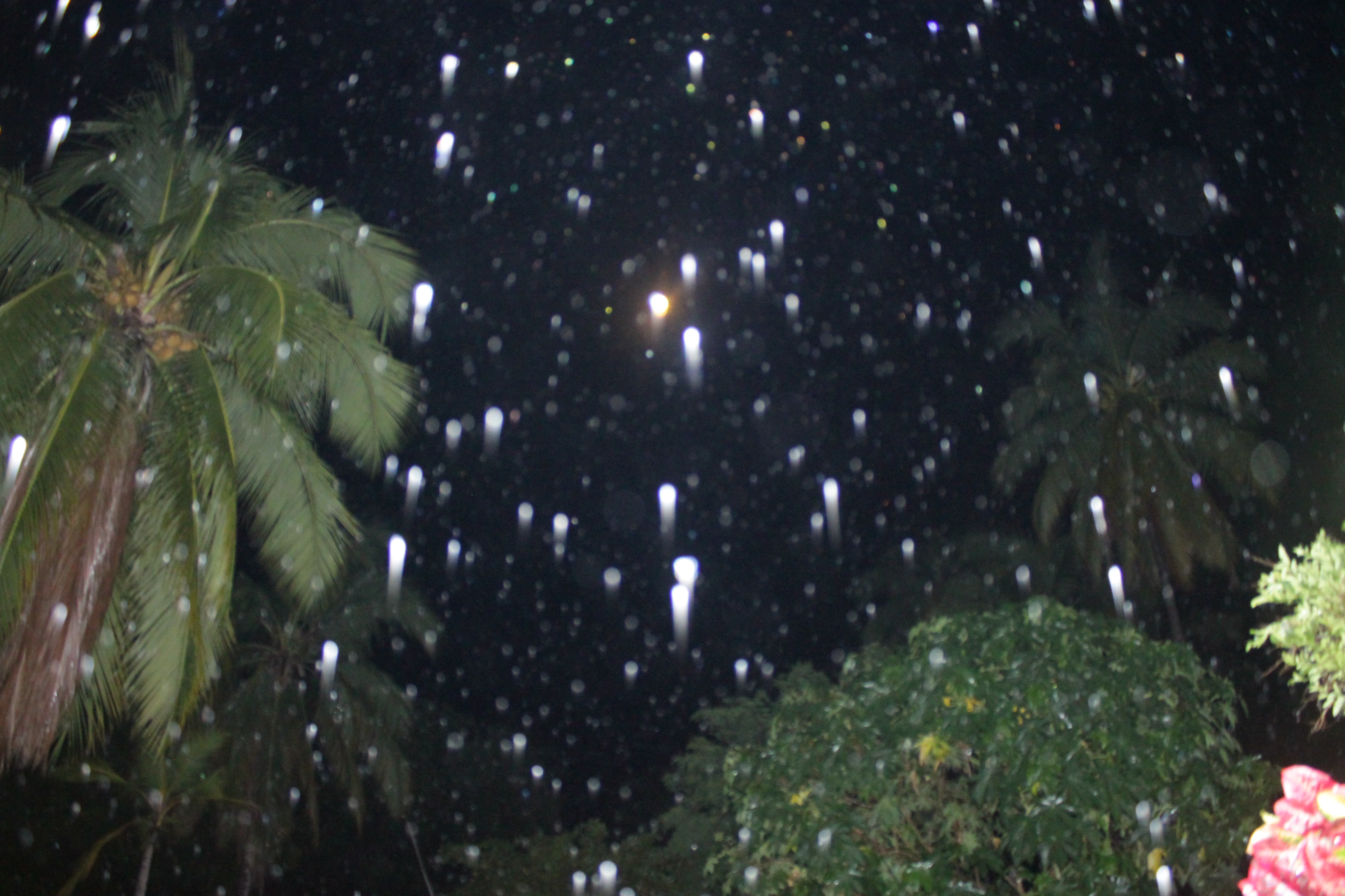 Rising Rain in Mexico