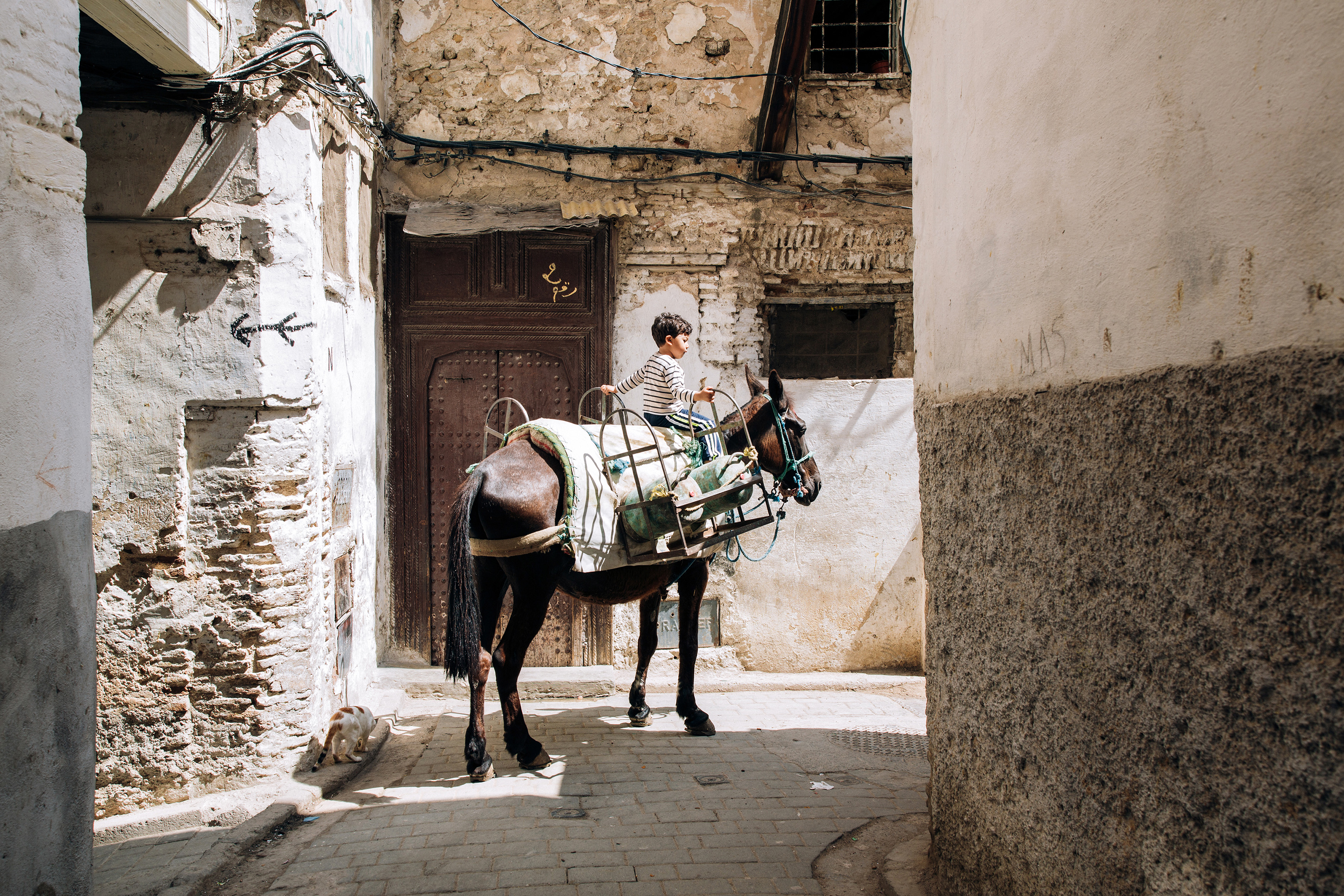 Morning in the Medina