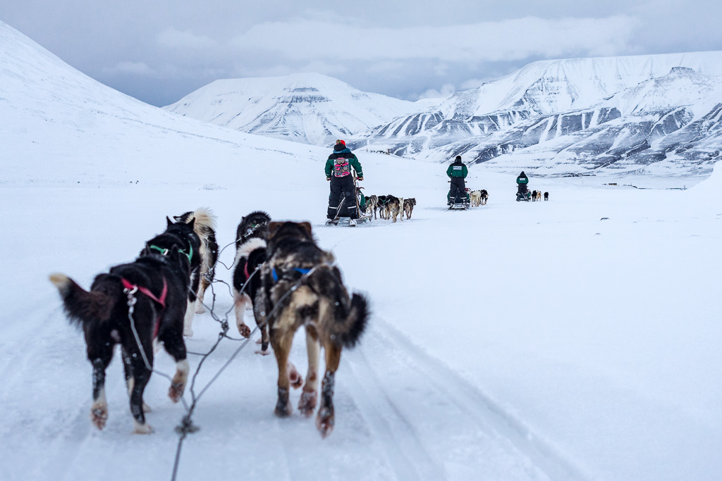 On the Trail in Norway