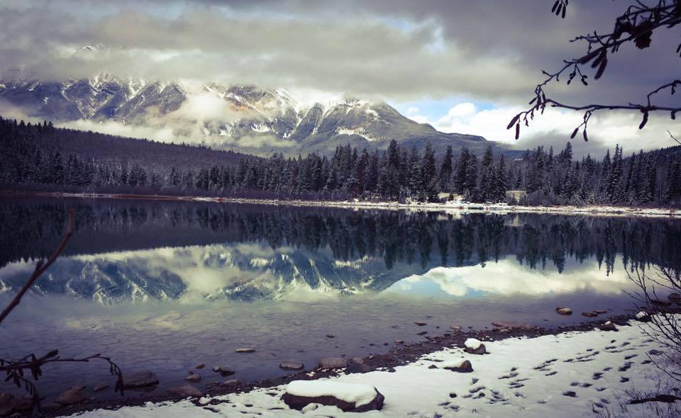 Long desired/awaited reunion in Jasper National Park, Canada