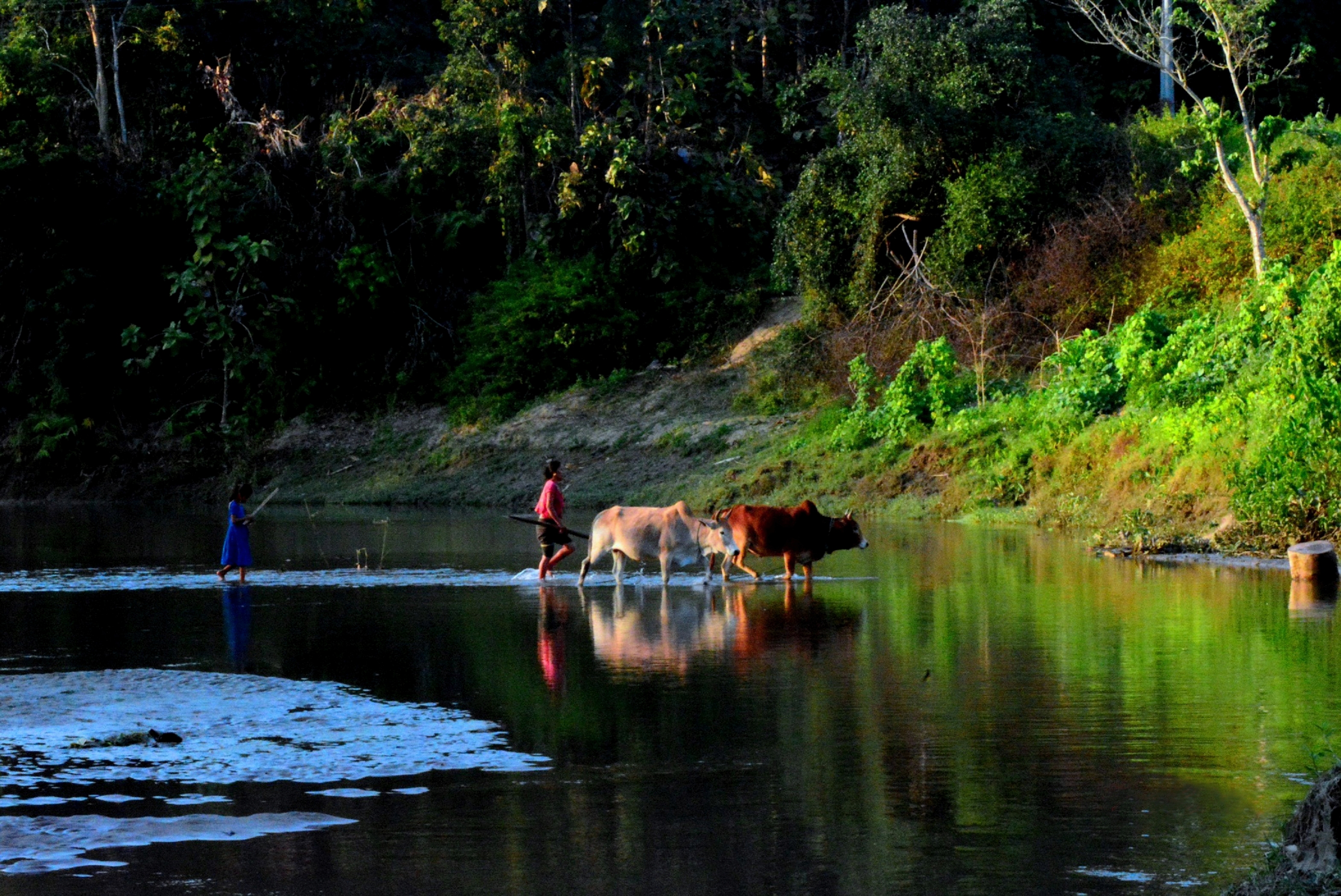 Return to Bangladesh