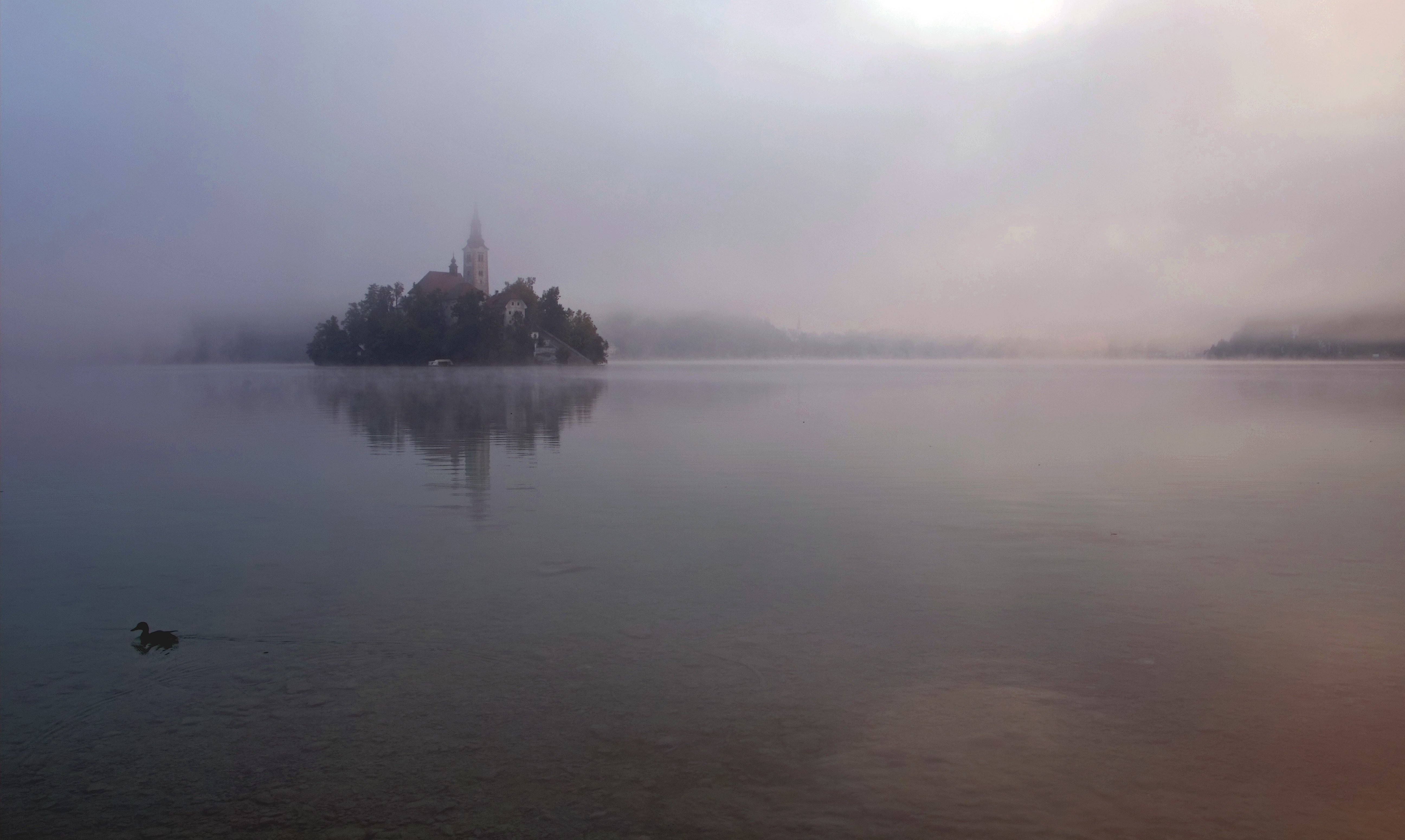 Foggy Morning on the Lake in Slovenia