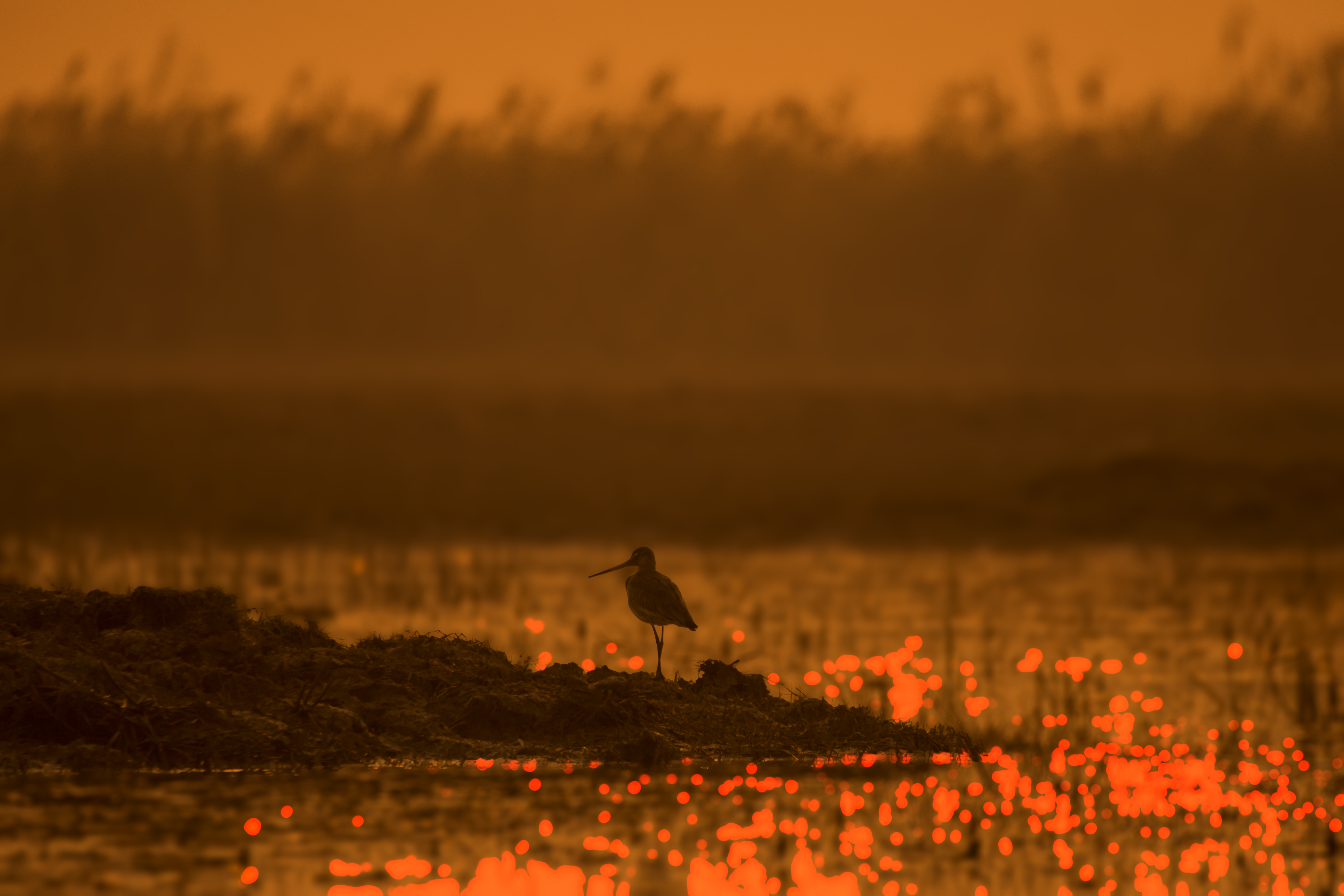 Alone at the end of the day in India