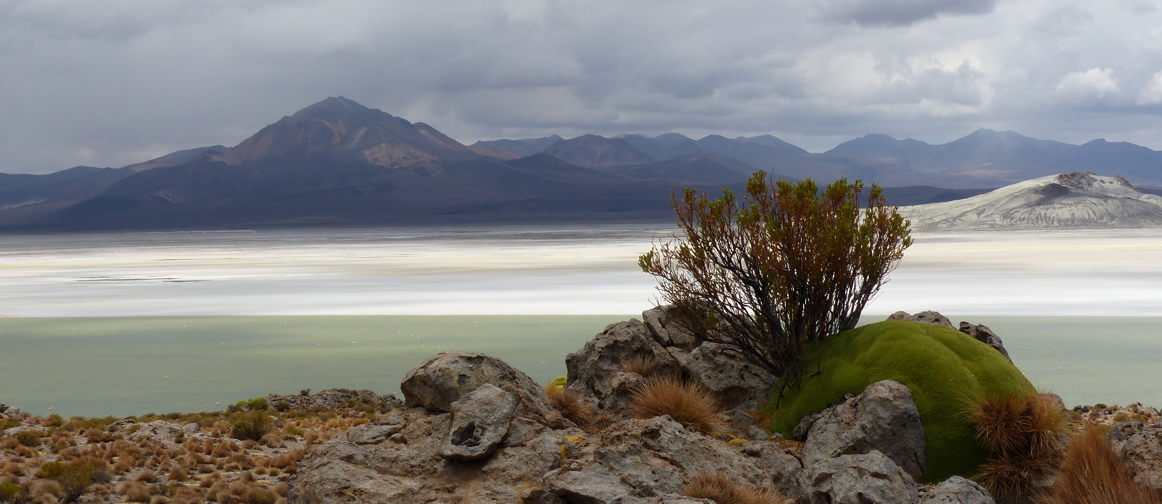 Salar de Surire Natural Monument in Chile