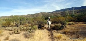 Tanque Verde: From City Slicker to Cow Girl